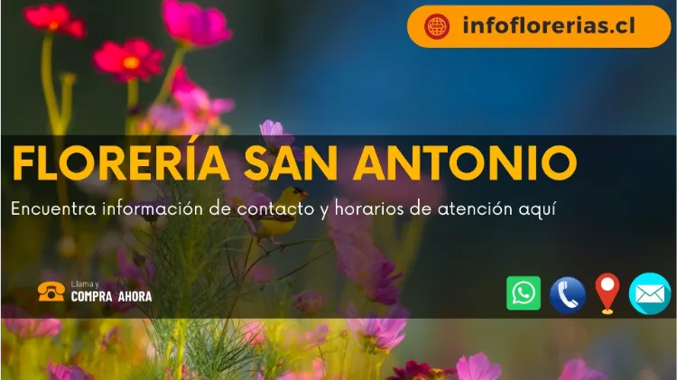 Florería San Antonio