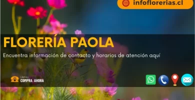 Florería Paola