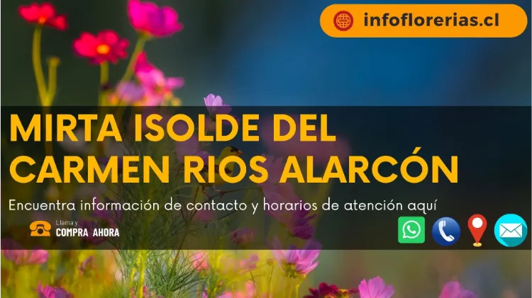 Mirta Isolde Del Carmen Rios Alarcón