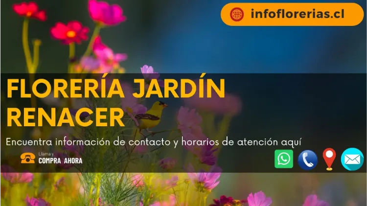 Florería jardín renacer