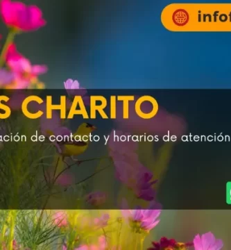 FLORES CHARITO