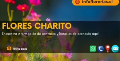 FLORES CHARITO