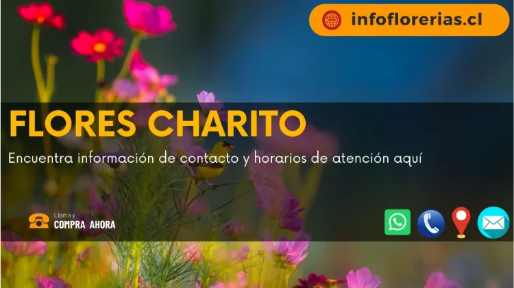 FLORES CHARITO