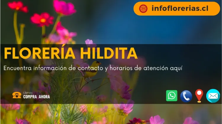 Florería Hildita