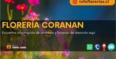 Florería Corazón