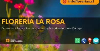 Florería la rosa