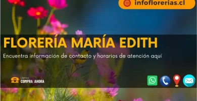 Floreria Maria Edith