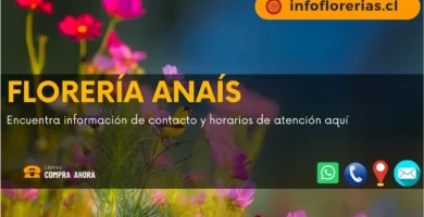 Florería Anais