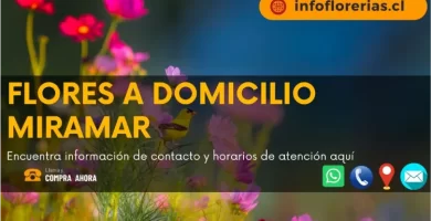 Flores a domicilio Miramar