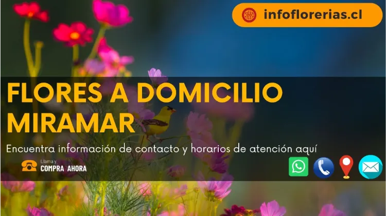 Flores a domicilio Miramar
