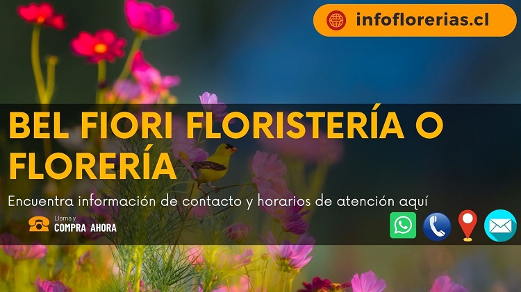 Bel Fiori Floristería o Florería