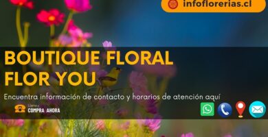 Boutique Floral Flor You