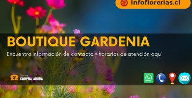 Boutique Gardenia