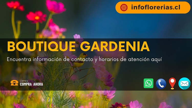 Boutique Gardenia