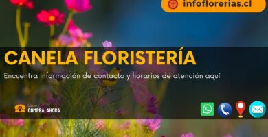 Canela Floristería