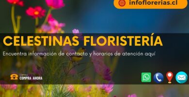 Celestinas Floristería