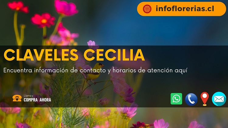 Claveles Cecilia