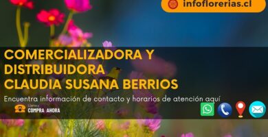 Comercializadora y Distribuidora Claudia Susana Berrios