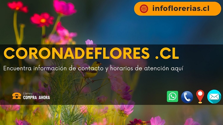 Coronadeflores.CL