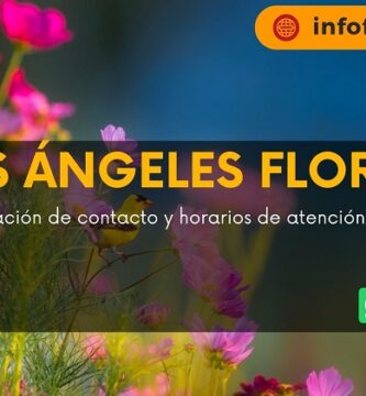 De Los Ángeles Florería