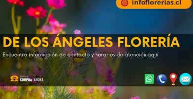 De Los Ángeles Florería