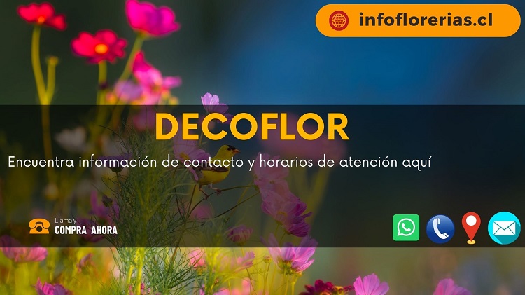 Decoflor