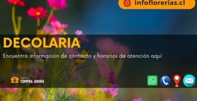 Decolaria