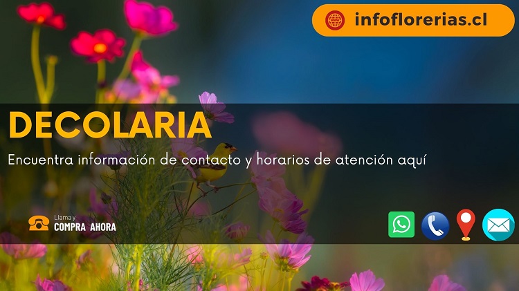 Decolaria