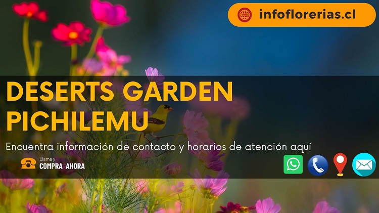 Desert Garden Pichilemu