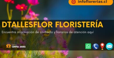 Dtallesflor Floristería