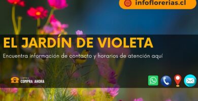 El Jardín de Violeta