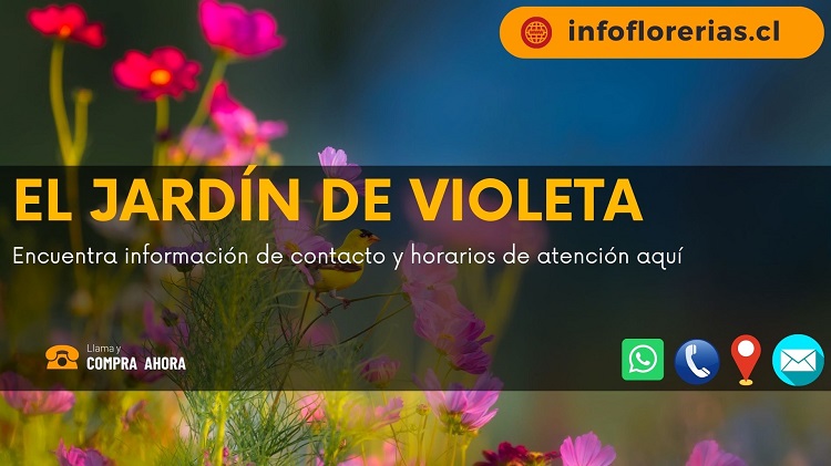 El Jardín de Violeta