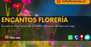 Encantos Florería
