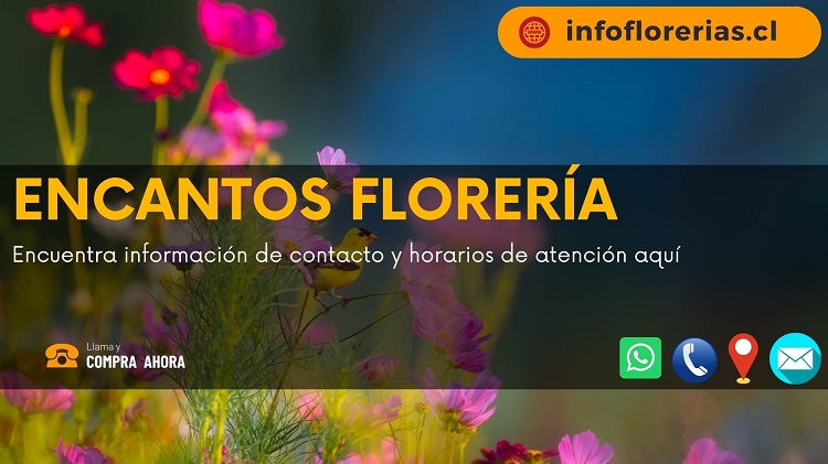 Encantos Florería