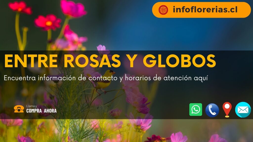 Entre Rosas y Globos