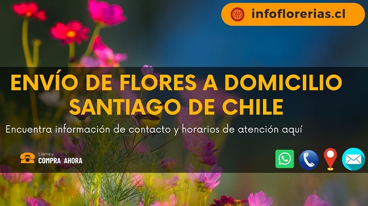 Envío de Flores a Domicilio Santiago de Chile