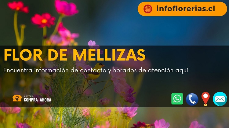 Flor de Mellizas