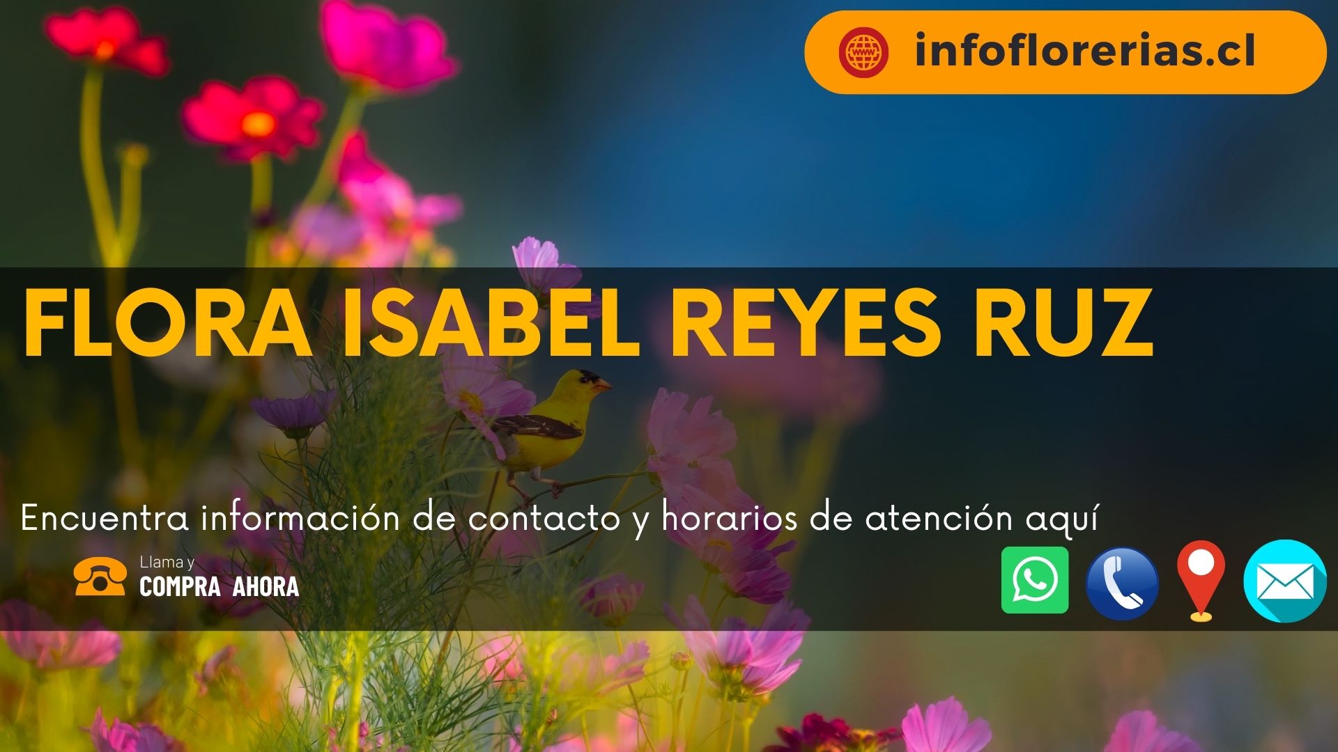 Flora Isabel Reyes Ruz