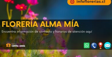 Florería Alma Mía