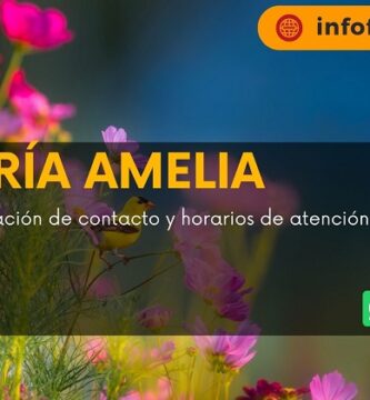 Florería Amelia