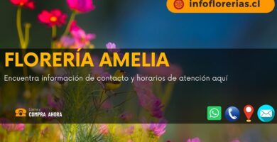 Florería Amelia
