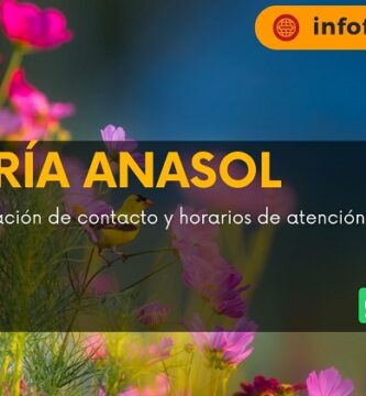 Florería Anasol