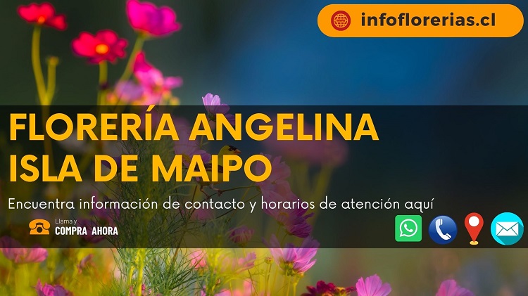 Florería Angelina Isla de Maipo