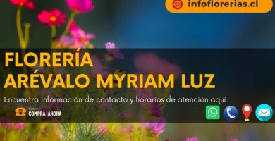 Florería Arévalo Myriam Luz