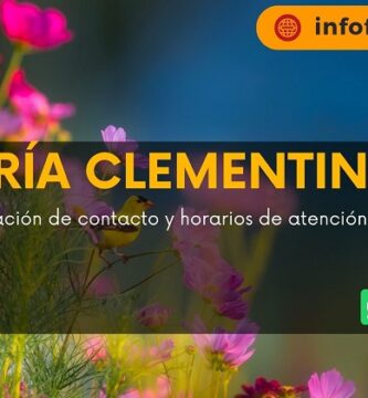 Florería Clementina