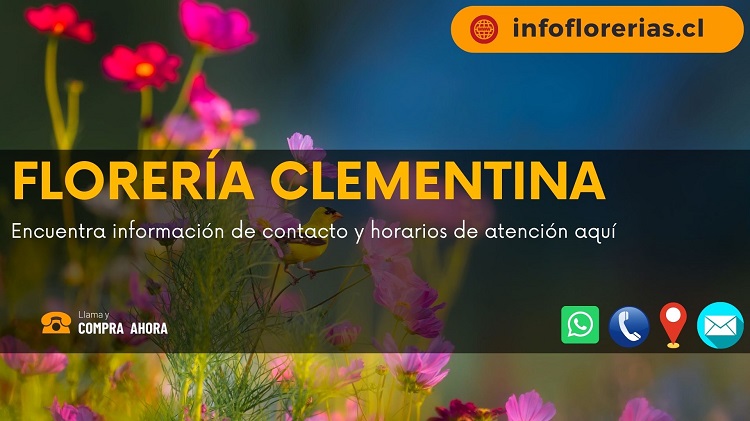 Florería Clementina