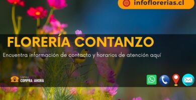 Florería Contanzo
