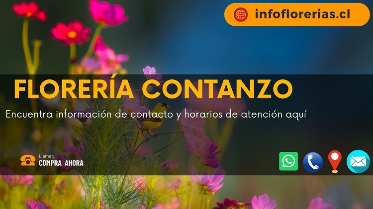Florería Contanzo