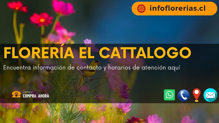 Florería El Cattalogo