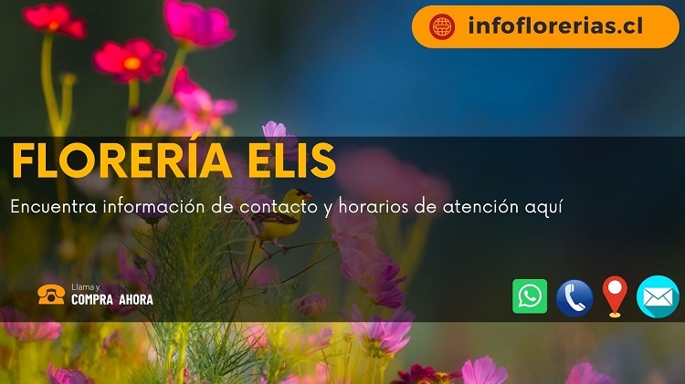 Florería Elis